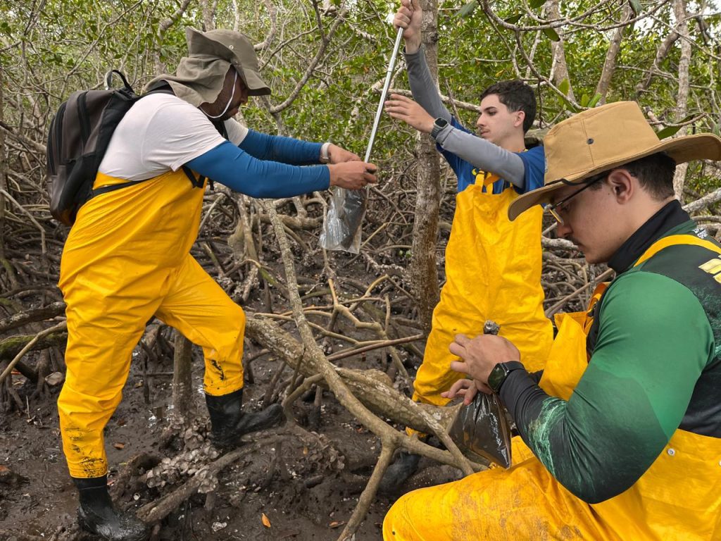 Coleta de testemunhos de solo — I Workshop Vozes dos Manguezais