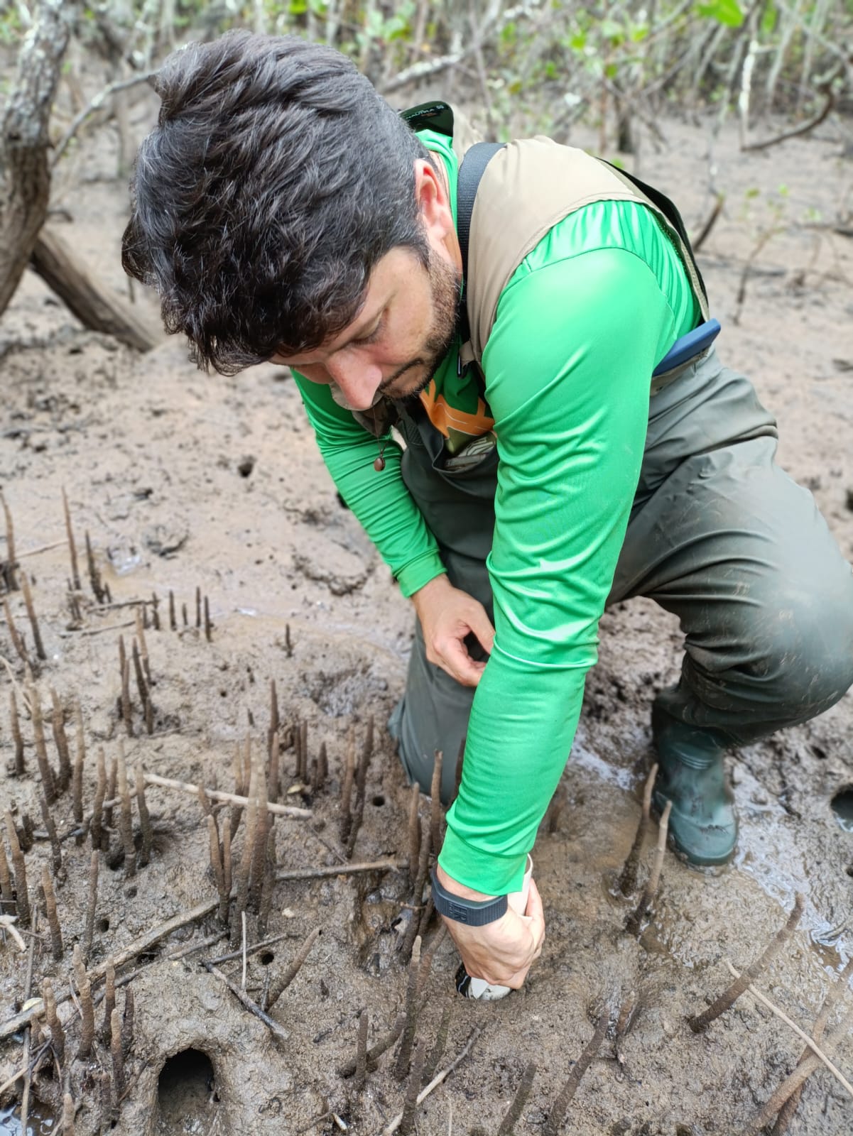 Trabalho de campo — diagnóstico geoquímico do manguezal